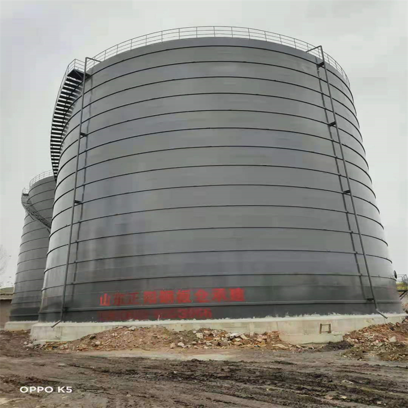 射阳3万吨大型钢板库