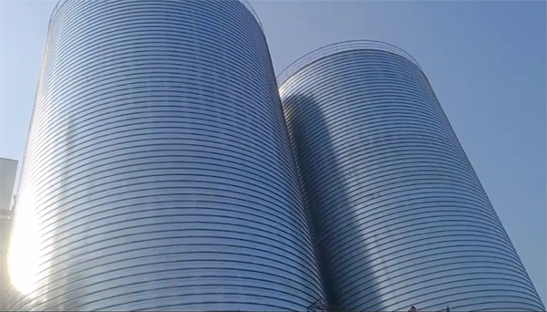 射阳2座混凝土高架卷板仓